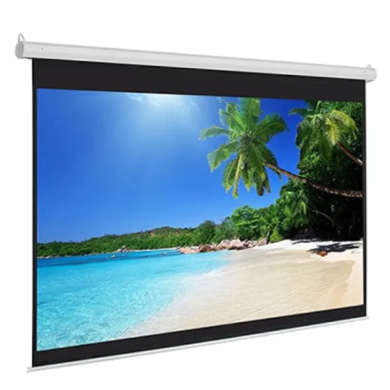 Màn chiếu điện Dinon 150 inch