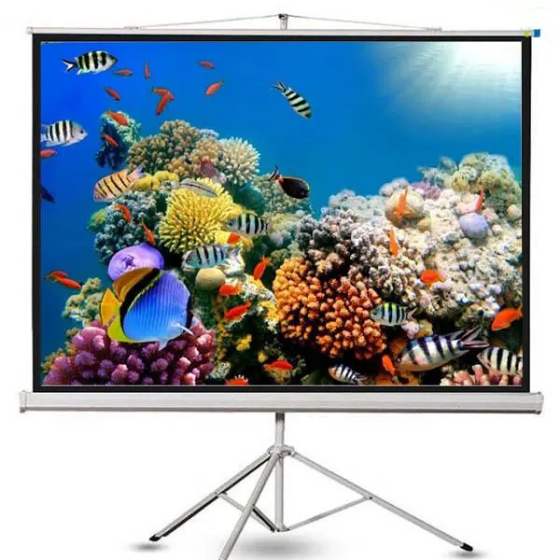 Màn Chiếu Dalite 120 Inch 3 Chân Chính Hãng