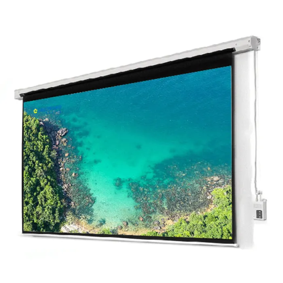 Màn Chiếu Điện DINON 300
