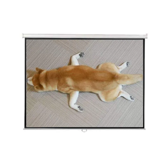 Màn Chiếu Treo Apollo 100 Inch
