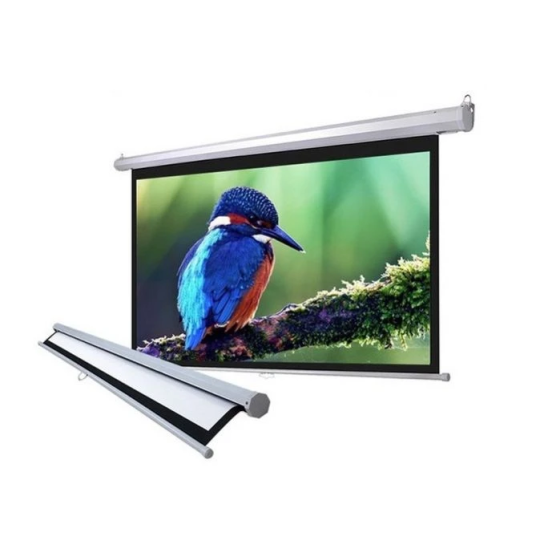 Màn Chiếu Dalite 135 inchs - Treo tường