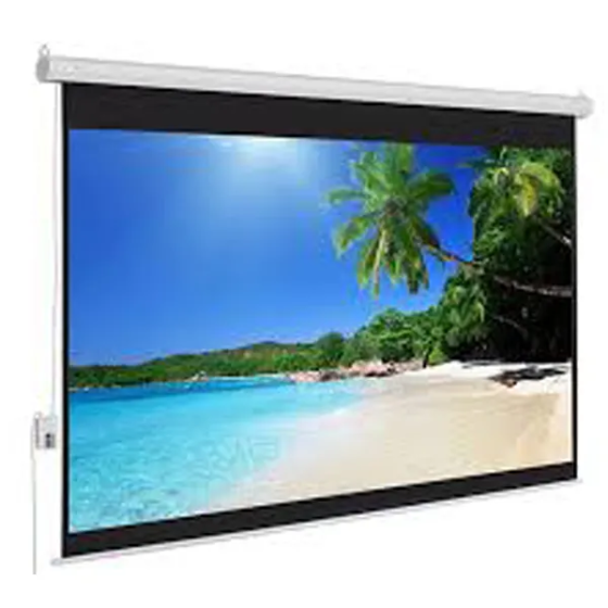 MÀN CHIẾU ĐIỆN DINON 100