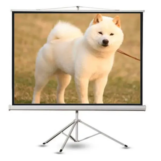 Màn Chiếu Apollo 135 Inch 3 Chân