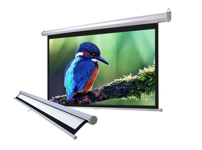 màn chiếu treo tường Dalite 84