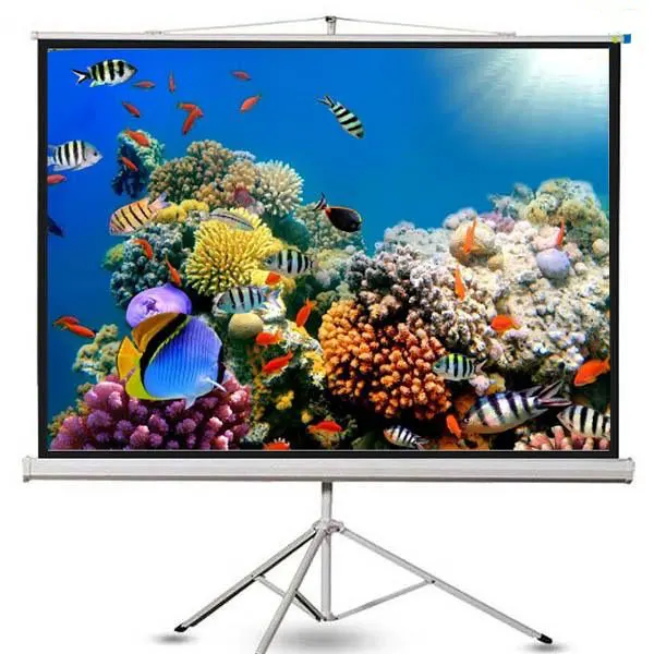 màn chiếu Dalite 135 inch giá rẻ