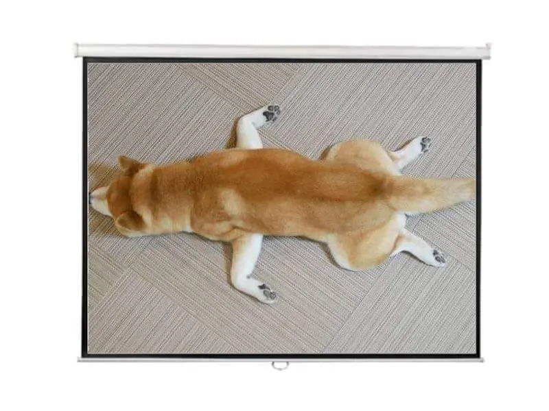 Màn Chiếu Treo DINON 150 Inch