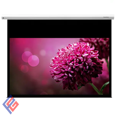 Màn chiếu điện Dalite 200 inchs