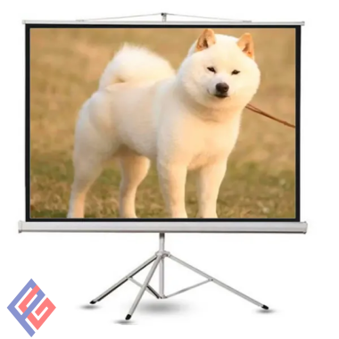 Màn Chiếu Apollo 135 Inch 3 Chân